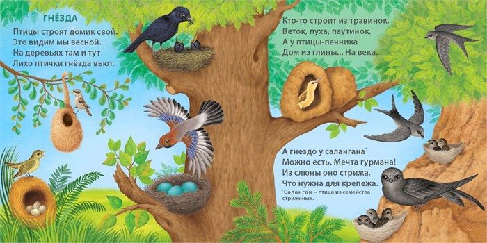 Книжки - картонки (бол). Удивительные дома животных ZT-KI-003493 - фото 1901