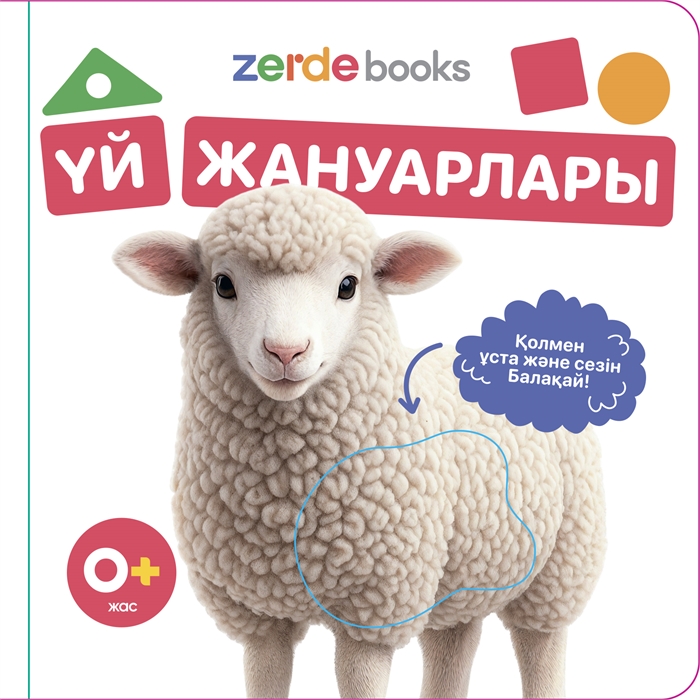 Тактильді кітаптар жиынтығы 5BOOKS