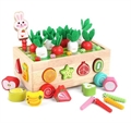Каталка на колесиках морковка и червячки JHTOY - 556 ZT-SO-001705
